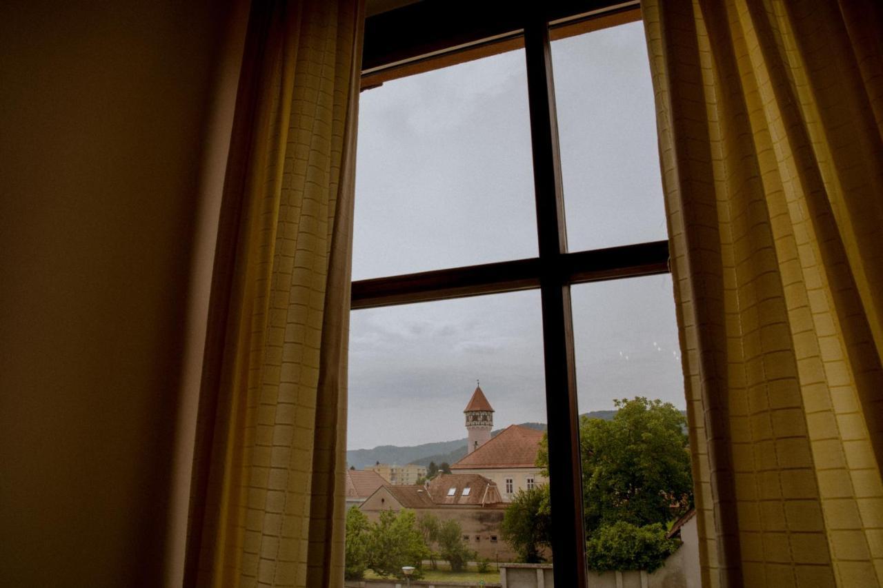 Splavar Rooms Brezice Exterior photo